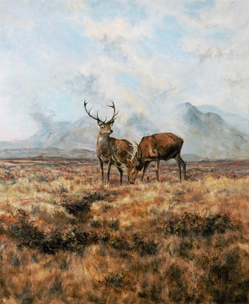 Red Stags, Ben Buie, 1982  from Tim  Scott Bolton