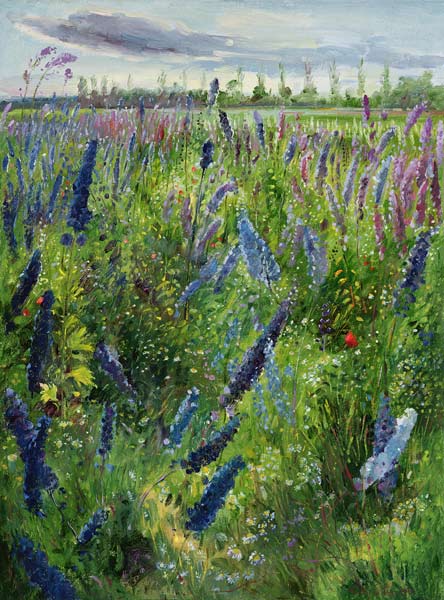 Delphiniums and Emerging Sun, 1991  from Timothy  Easton