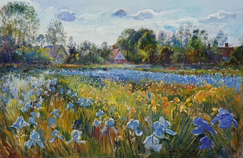 Iris Field in the Evening Light, 1993  from Timothy  Easton