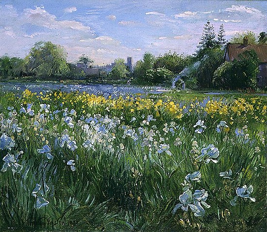 Bonfire and Iris Field, 1993  from Timothy  Easton