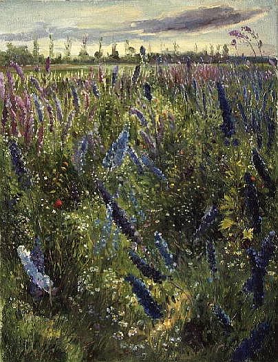 Delphiniums and Emerging Sun from Timothy  Easton