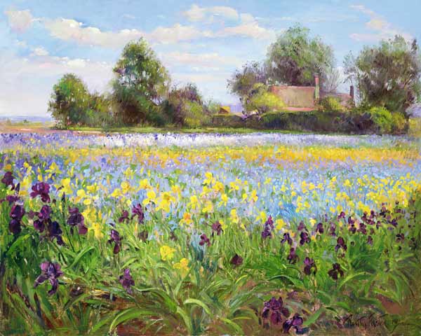 Farmstead and Iris Field, 1992  from Timothy  Easton