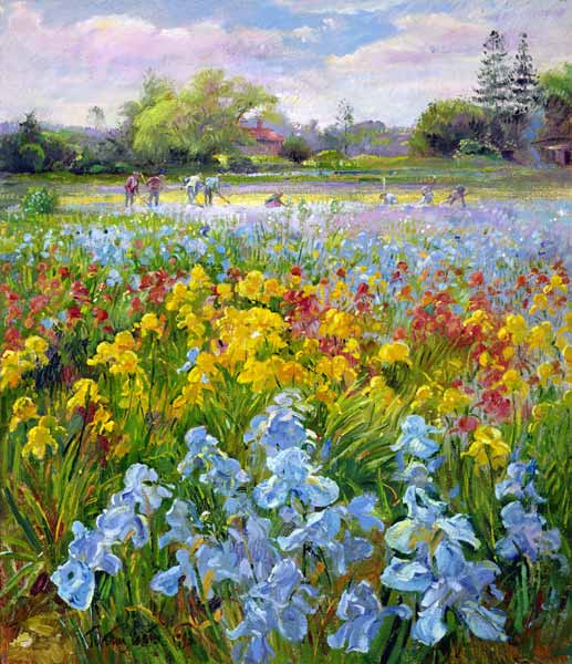 Hoeing Team and Iris Fields, 1993  from Timothy  Easton