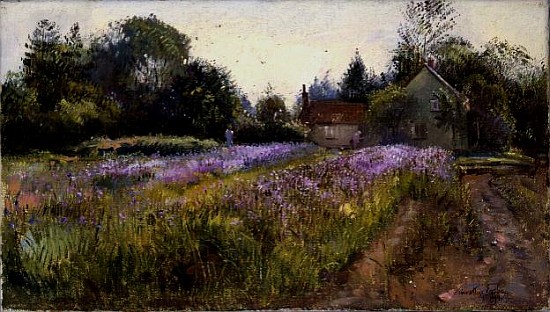 Iris Field and the Old Chapel, Burgate, 1994  from Timothy  Easton