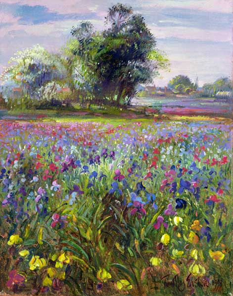 Irises and Distant May Tree, 1993  from Timothy  Easton