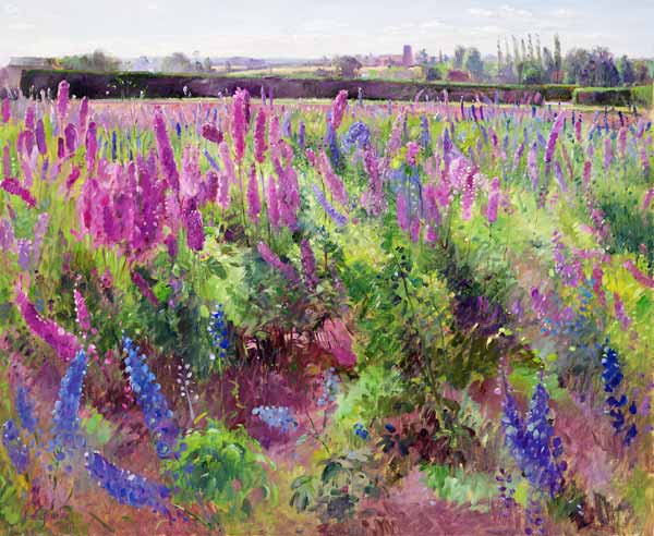The Delphinium Field, 1991  from Timothy  Easton