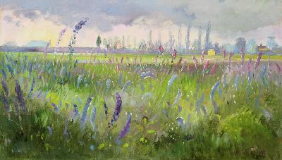 Delphiniums, Storm passing, 1991 