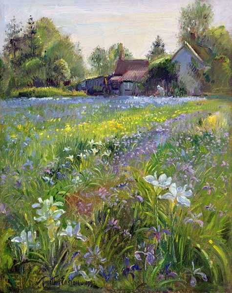 Dwarf Irises and Cottage, 1993 