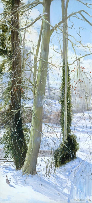 Three Trees in Winter from Timothy  Easton