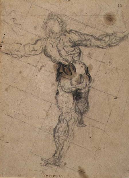 Study of a Male Nude from Behind from Jacopo Robusti Tintoretto
