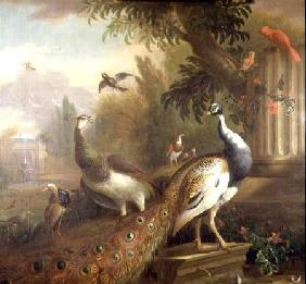 Peacock and Peahen with a Red Cardinal in a Classical Landscape