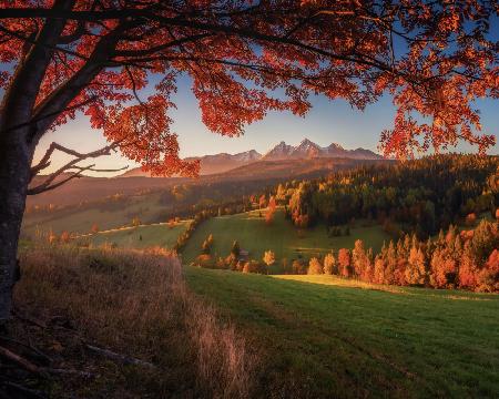 Autumn under Tatra Mountains