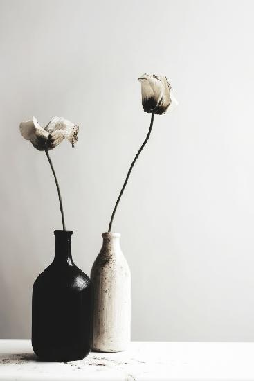 Black And White Vase No 2