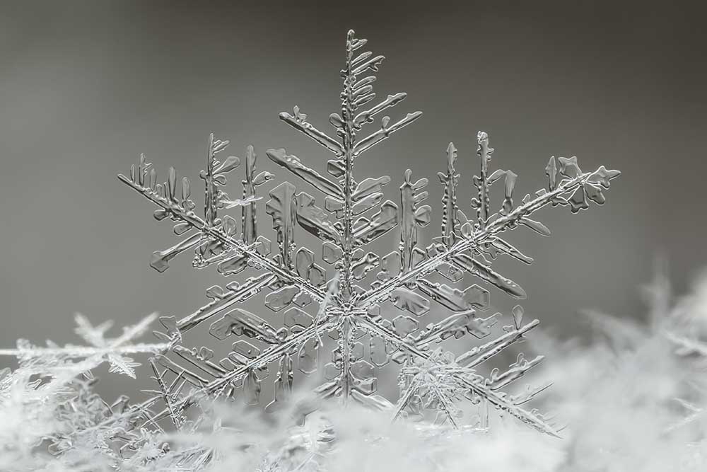 Snowflake from Tsolmon Naidandorj