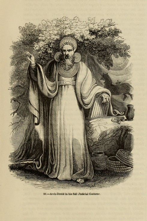 Arch-Druid in his full Judicial Costume (From the book "Old England: A Pictorial Museum") from Unbekannter Künstler