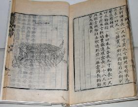 Turtle War Ship (Book Of Yi Sun-sin)