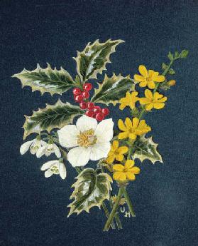 Holly, Christmas Rose, Snowdrop and Winter Jasmine (w/c on paper) 