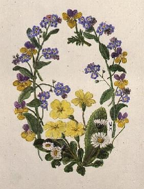 Primroses, Forget-me-nots, Pansies and Daisies (w/c on paper) 