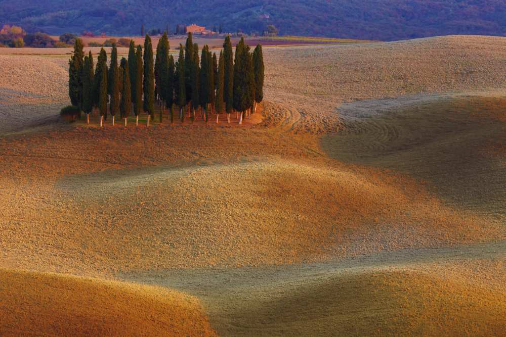 Toscana from Vadim Balakin