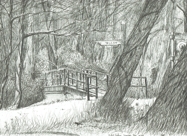The old metal bridge, Bramhall park from Vincent Alexander Booth