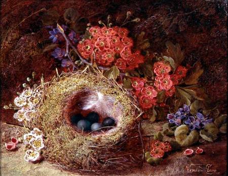 Still life of a bird's nest and blossom from Vincent Clare