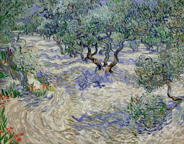Olivenhain from Vincent van Gogh