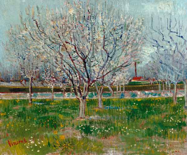 Blossoming orchard from Vincent van Gogh