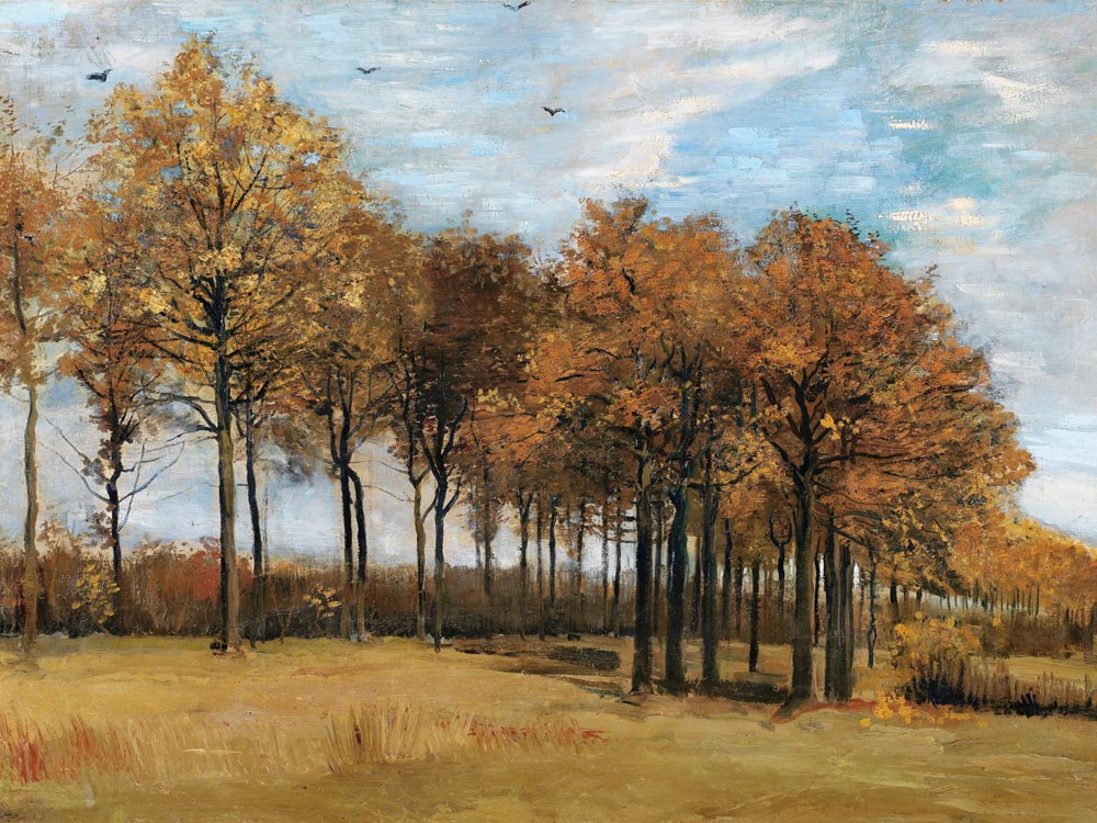 v.Gogh / Autumn landscape / Nov. 1885 from Vincent van Gogh