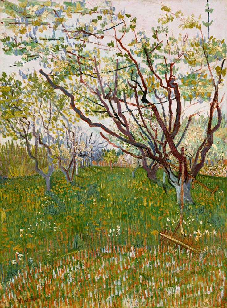 Blossoming orchard from Vincent van Gogh