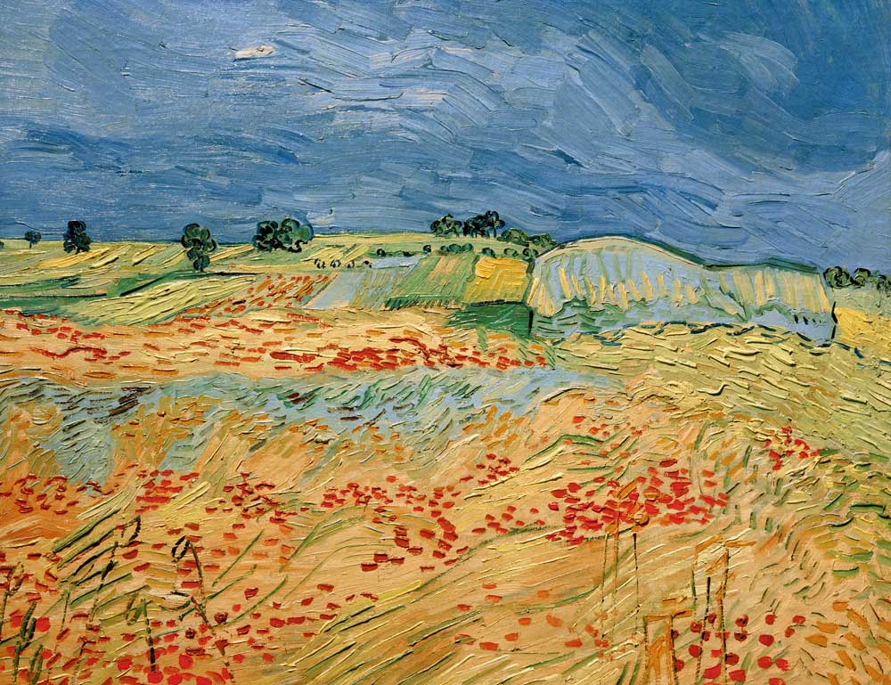 Van Gogh / Fields with Blooming Poppies from Vincent van Gogh