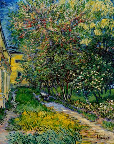 Van Gogh / St.-Rémy Hospital Garden from Vincent van Gogh
