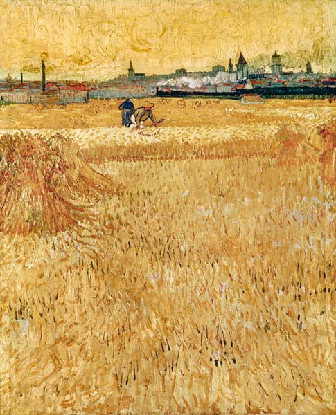 Wheatfield in Arles from Vincent van Gogh