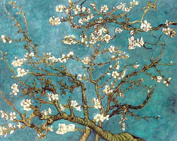 Almond Blossoms (copy) from Vincent van Gogh