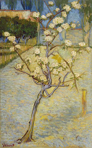 Small pear tree in blossom from Vincent van Gogh