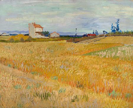 Van Gogh / Cornfield / c.1888
