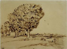 V.v.Gogh, Landscape w.House & Trees/1888