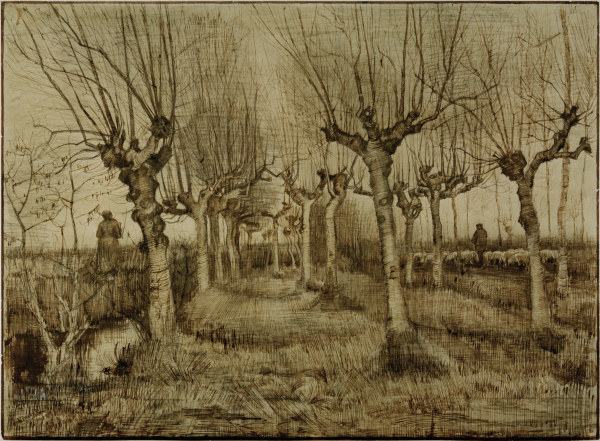 V.van Gogh, Pollard Birches / Draw./1884 from Vincent van Gogh