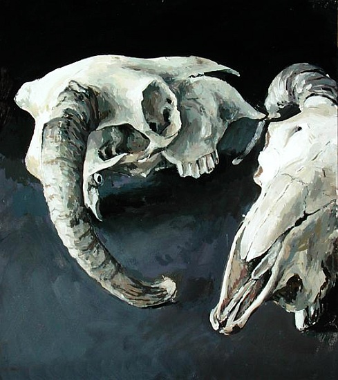 Sheep Skulls from  Vincent  Yorke