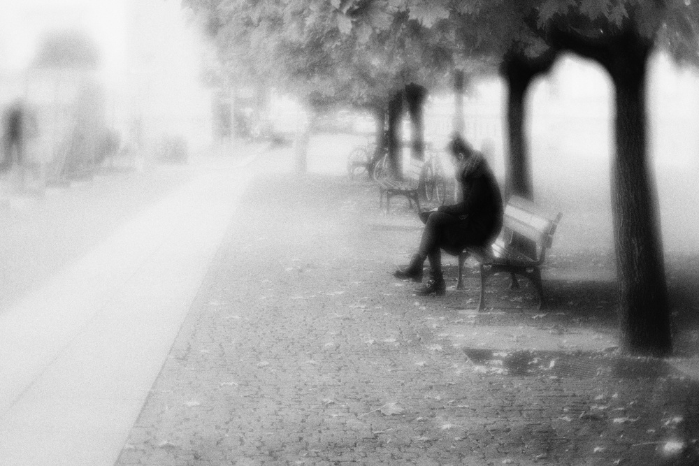 in the park from Vincenzo Pascale