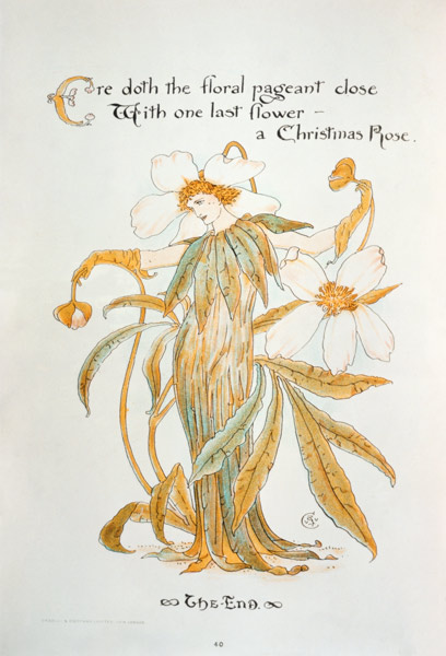 Christmas Rose from Walter Crane