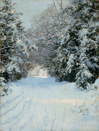 Snow-covered woodland path