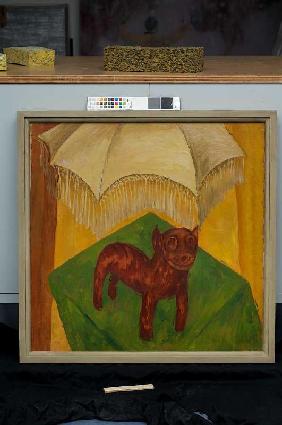 Hund mit Schirm