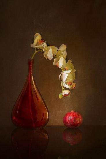 Butterfly Orchid and pomegranate