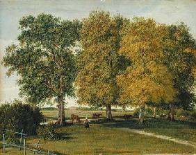 Herder with Cattle beneath Autumnal Trees