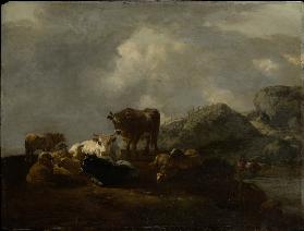 Cattle Resting at a River Crossing