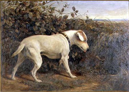 Terrier in a Landscape from William Elsob Marshall