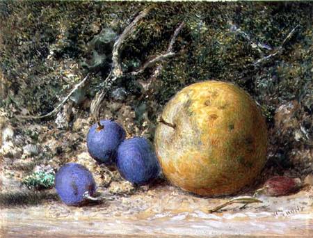 Three Grapes and an Apple from William Henry Hunt