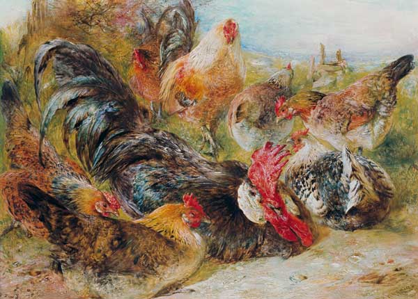 Poultry from William Huggins