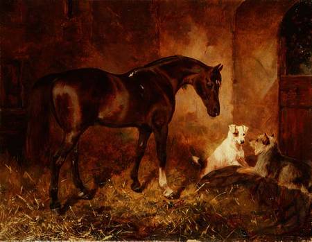 In the Stable from William Osborne