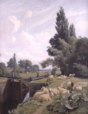 Landscape with a Canal Lock and a Flock of Sheep